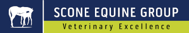 Scone Equine Group - Veterinary Excellence